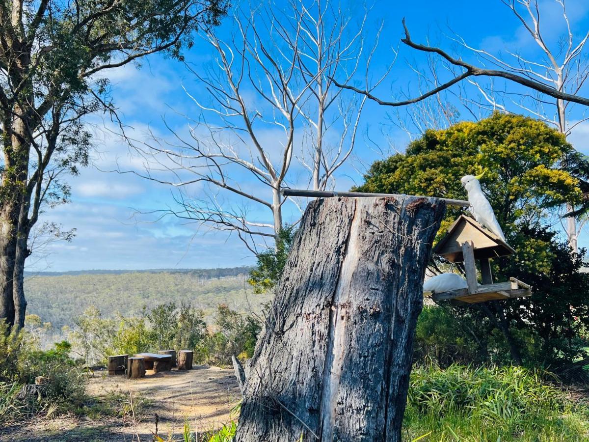 Canyon Cottage Majestic View Blackheath Εξωτερικό φωτογραφία
